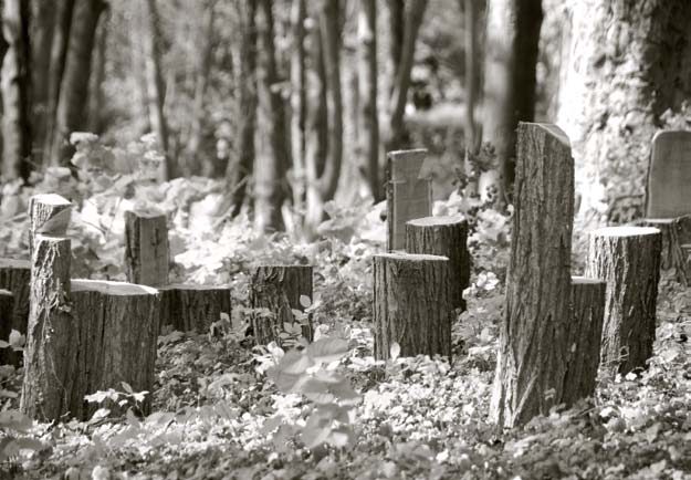 Pilgerwanderung