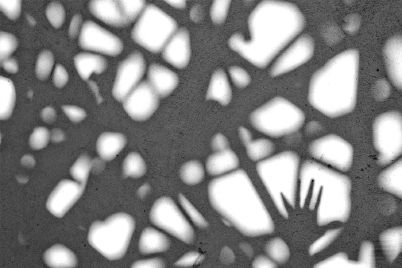 Galleriebild #3