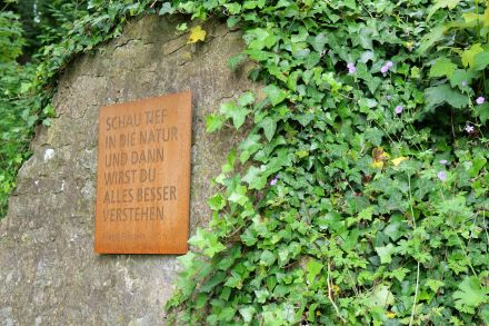 Galleriebild #4