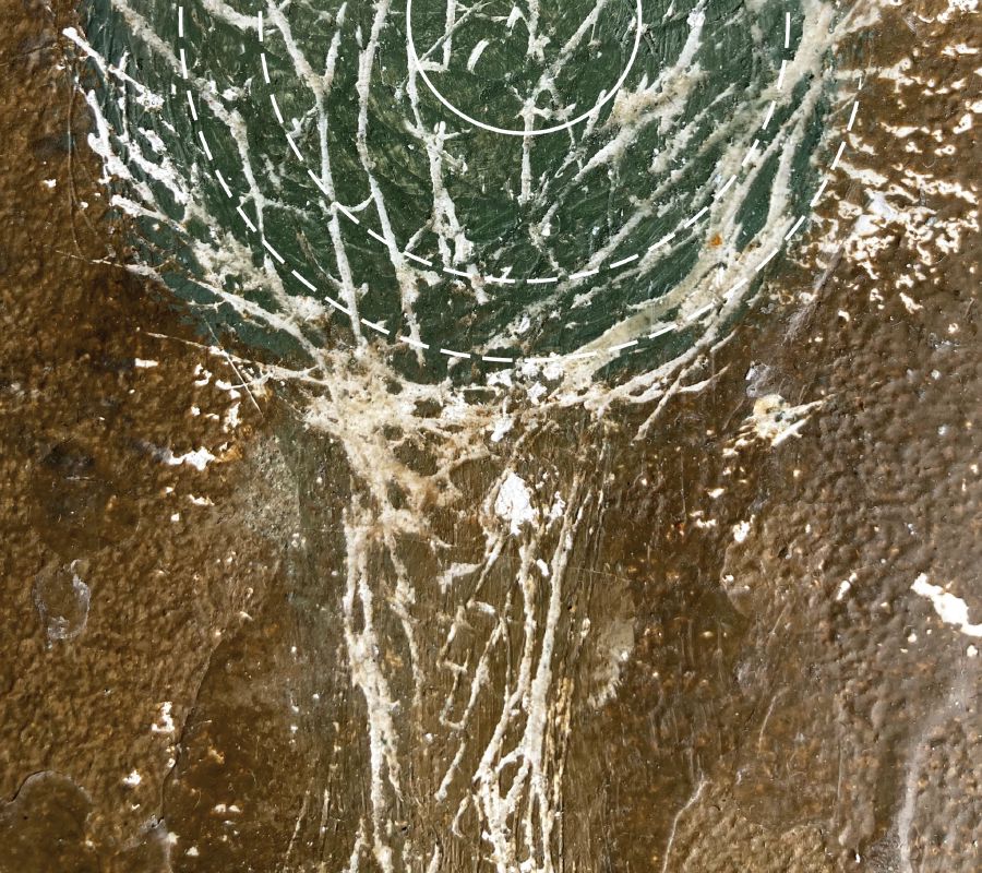 Galleriebild #1
