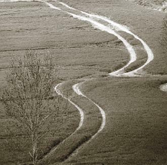 Verschlungene Spuren eines Feldwegs in einer Graslandschaft