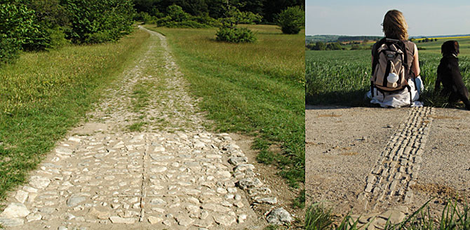 Feldweg mit Wegornament